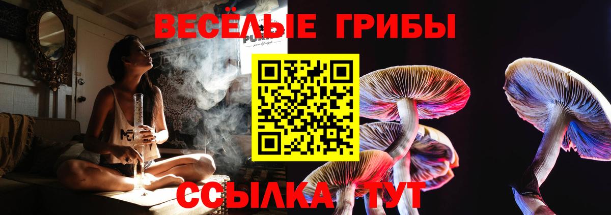 хочу   Вход с VPN  Топки  Галлюциногенные грибы Cubensis  Псилоцибиновые грибы Cubensis 
